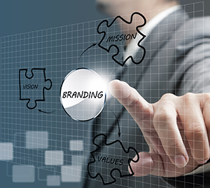 Business Man Hand Point To Branding Diagram – Meyer Media