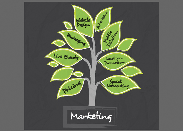 marketing services; expert local